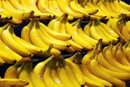 در هفته های اخیر موز با افزایش قیمت مواجه شده است 