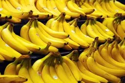 در هفته های اخیر موز با افزایش قیمت مواجه شده است 