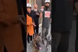 عذرخواهی رئیس هلال احمر از عدنان‌مطوری و همسرش‌‌ با سگ های زنده یاب |  فردی که با کمک سگ هایش پیکر جانباختگان متروپل را کشف کرده بود + ویدیو
