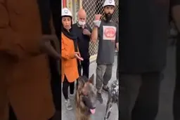 عذرخواهی رئیس هلال احمر از عدنان‌مطوری و همسرش‌‌ با سگ های زنده یاب |  فردی که با کمک سگ هایش پیکر جانباختگان متروپل را کشف کرده بود + ویدیو

