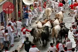 گاودوانی مرگبار | مرگ افراد به خاطر گاودوانی