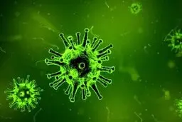 موسیقی شاد راهی برای غلبه بر کرونا 