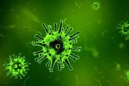 موسیقی شاد راهی برای غلبه بر کرونا 