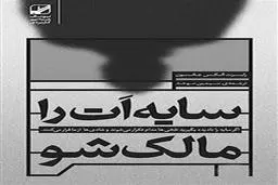 معرفی کتاب سایه‌ات را مالک شو اثر رابرت جانسون | کشف سایه‌ها و رسیدن به خودشناسی