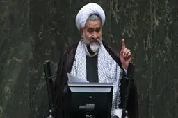 حمله تند روزنامه اصولگرا به نوروزی نماینده مجلس: بار اول نیست که از این حرفها می زنی | وقتی می گویی مصاحبه من جعلی است یعنی معنای"جعل" را هم نمی دانی