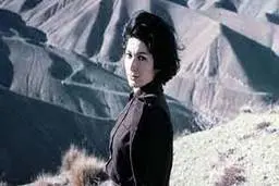 داستان کوتاه قصه ای در شب از فروغ فرخزاد | پنجه اش در حلقه موی که میلغزد ؟