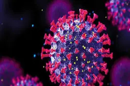 شناسایی ۶ بیمار جدید مبتلا به سویه اُمیکرون در کشور 