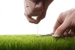 چطور افکار کمال‌طلبانه‌ی غیرمنطقی را تغییر دهیم