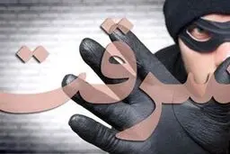  ویدیوی فراگیر در رسانه‌های اسپانیا از یک سرقت عجیب | از جیب بری تا تجاوز جنسی و حملات خشونت آمیز + ویدئو