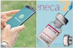  مردم هند تمایلی به واکسن «کرونا» ندارند