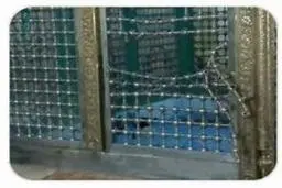 سرقت جنجالی این فرد از امامزاده های کشور! | سرقت با کلنگ در امامزاده +ویدئو