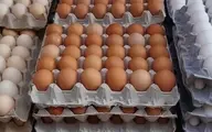 اتحادیه مرغداران: در حال حاضر قیمت هرشانه تخم مرغ ۷۰ تا ۷۵ هزار تومان است  | قیمت نسبت به قبل، ۵۰ درصد کاهش یافته