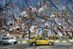 بیست و پنجم | تاکسی‌نوشته‌های سروش صحت