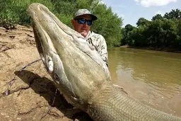  لحظه‌ی وحشتناک صید تمساح توسط ماهیگیر بدشانس | فرار ماهیگیر از دست تمساح غول‌پیکر+ویدئو 