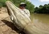  لحظه‌ی وحشتناک صید تمساح توسط ماهیگیر بدشانس | فرار ماهیگیر از دست تمساح غول‌پیکر+ویدئو 