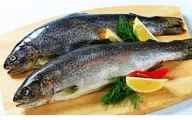 کاهش ۲۵ درصدی تولید ماهی قزل‌آلا به دلیل خشکسالی