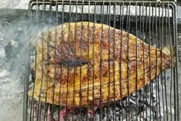 اگه این کارو که میگم بکنی ماهی به توری نمی‌چسبه! | ترفند نچسبیدن ماهی به توری +ویدئو