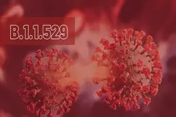 واکسن آسترازنکا در برابر سویه جدید «امیکرون» کارایی دارد یا خیر؟
