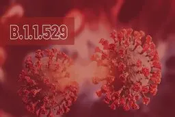 واکسن آسترازنکا در برابر سویه جدید «امیکرون» کارایی دارد یا خیر؟
