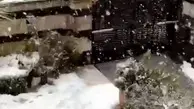 برف اردبیل را سفید پوش کرد | شهر اردبیل، پوشیده در  لایه ای ضخیم از برف + ویدئو