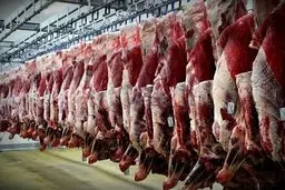 

آغاز توزیع گوشت با قیمت ۹۹۸۰۰ تا ۱۴۰ هزار تومان 
