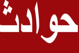 کشف جسد سوخته فرزند شهید صیادی