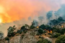 جهان چگونه مشکل گرما را حل می‌کند؟ | سایبان زمین