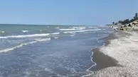 دریای خزر به دلیل سرمای شدید یخ زد + ویدئو