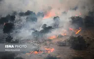 آسیب های جدی آتش‌سوزی نقطه‌ای در جنگل‌ها و مراتع
