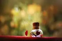 حال و احوال ۳۰ آذر | یلدات باید قشنگ باشه