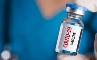 
 چین  |   واکسن کووید 19با قیمت مناسب در اختیار جهان قرار می گیرد 
