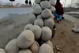 روش ابتکاری مردم افغانستان برای نگهداری تازه میوه ! + ویدئو