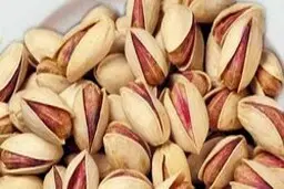 تجارت پسته در آستانه ورشکستگی قرار گرفت
