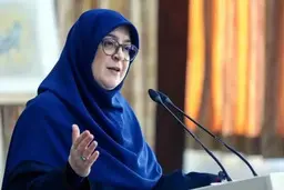 اظهارات سخنگوی دولت درباره اینترنت و عرضه پول نقد در بانک‌ها+ ویدئو
