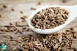 عوارض وحشتناک مصرف زیاد زیره را بدانید و جدی بگیرید!