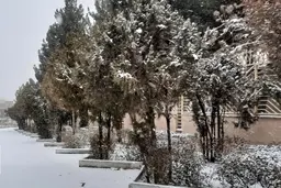 ارتفاع برف در فاروج به حدود ۴۰ سانتی متر رسید
