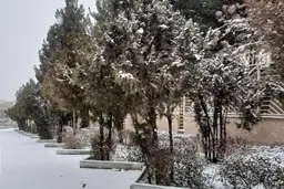 ارتفاع برف در فاروج به حدود ۴۰ سانتی متر رسید