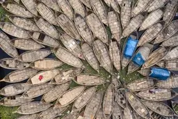 دیدنی‌های امروز؛ از کلاس‌های مجازی تا سبک جدید زندگی