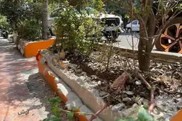 سنایی تهران در شوک تخریب شبانه؛ فضای بیرونی کافه‌ها هدف قرار گرفت