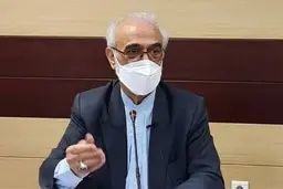 
ایروانی، عضو مجمع تشخیص: خبر مهم درباره زمان تعیین تکلیف FATF در مجمع تشخیص
