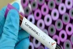 دستگیری فروشنده واکسن کرونا در فضای مجازی +جزئیات