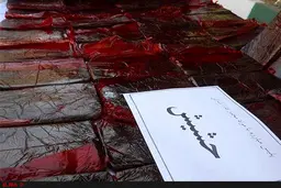  مواد مخدر    |   ۲۷۲ کیلوگرم حشیش از یک خودرو کشف شد