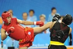 صدیقی: در تلاشیم لیگ‌ ووشو از دی آغاز شود