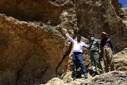 حکایت جوجه عقاب وبازگشتش به لانه