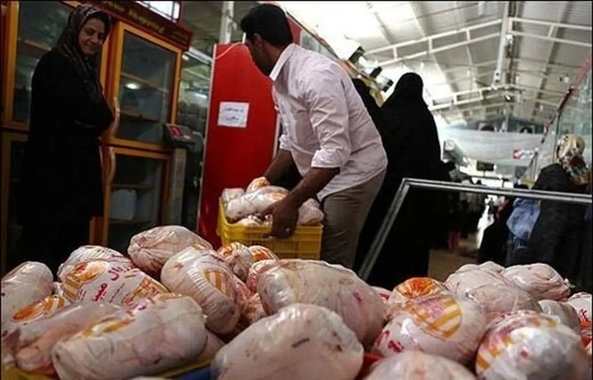مرغ گران شد | قیمت جدید مرغ در ۱۶ دی ماه