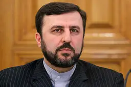 
دبیر ستاد حقوق بشر: بازگشت ایرانیان مقیم خارج به کشور مشکلی ندارد
