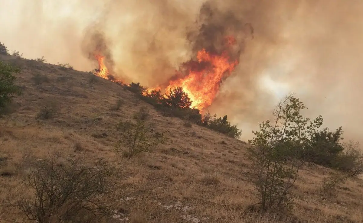 گزارش نهایی استاندار آذربایجان شرقی درباره آتش در جنگل‌های ارسباران