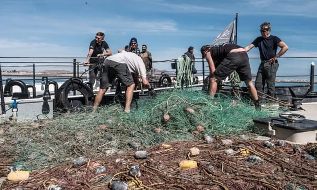 تجهیزات ماهیگیری، منشا اصلی آلودگی‌های پلاستیکی اقیانوس‌ها