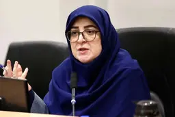 سخنگوی دولت: جمع‌آوری ماهواره اقدام غیرقانونی است