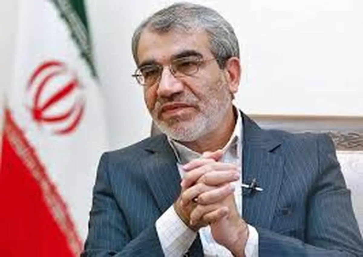 کدخدایی: کلیات استانی شدن انتخابات قابل قبول است
